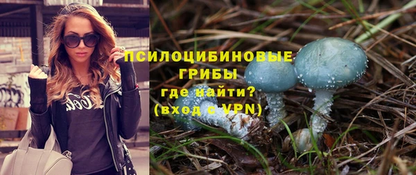 ALPHA-PVP Новозыбков