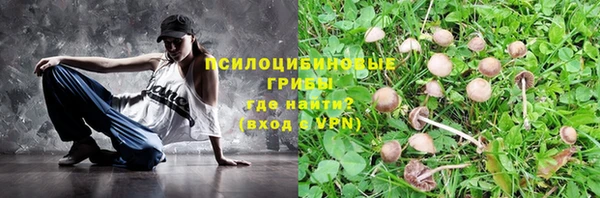 синтетический гашиш Няндома
