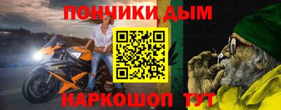 индика Гусев