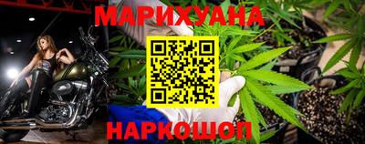 сатива Гатчина