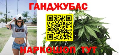 сатива Гатчина