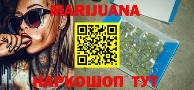 индика Гусев