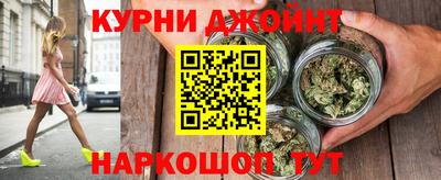 шишки Гагарин