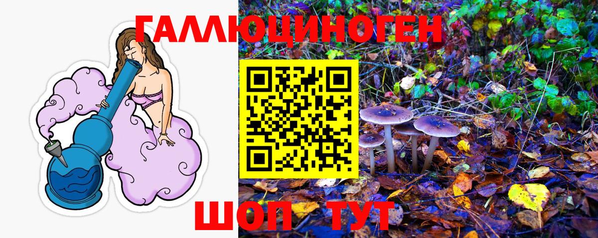 Псилоцибиновые грибы MAGIC MUSHROOMS Мегион