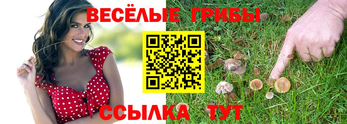 Мегион  Псилоцибиновые грибы мицелий  Галлюциногенные грибы MAGIC MUSHROOMS  Вход с VPN 